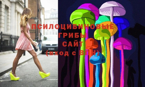 гашик Белоозёрский